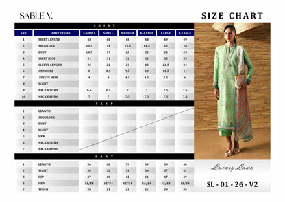 SL-01-26-V2