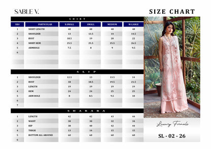 SL-02-26-V1